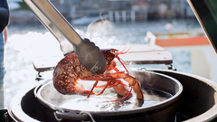 Big Green Egg - Grillredskaber