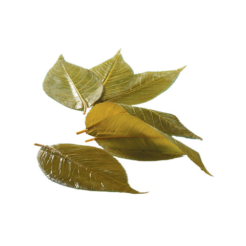 Saltede Sakura blade - En smagfuld oplevelse ( Flere størrelser)