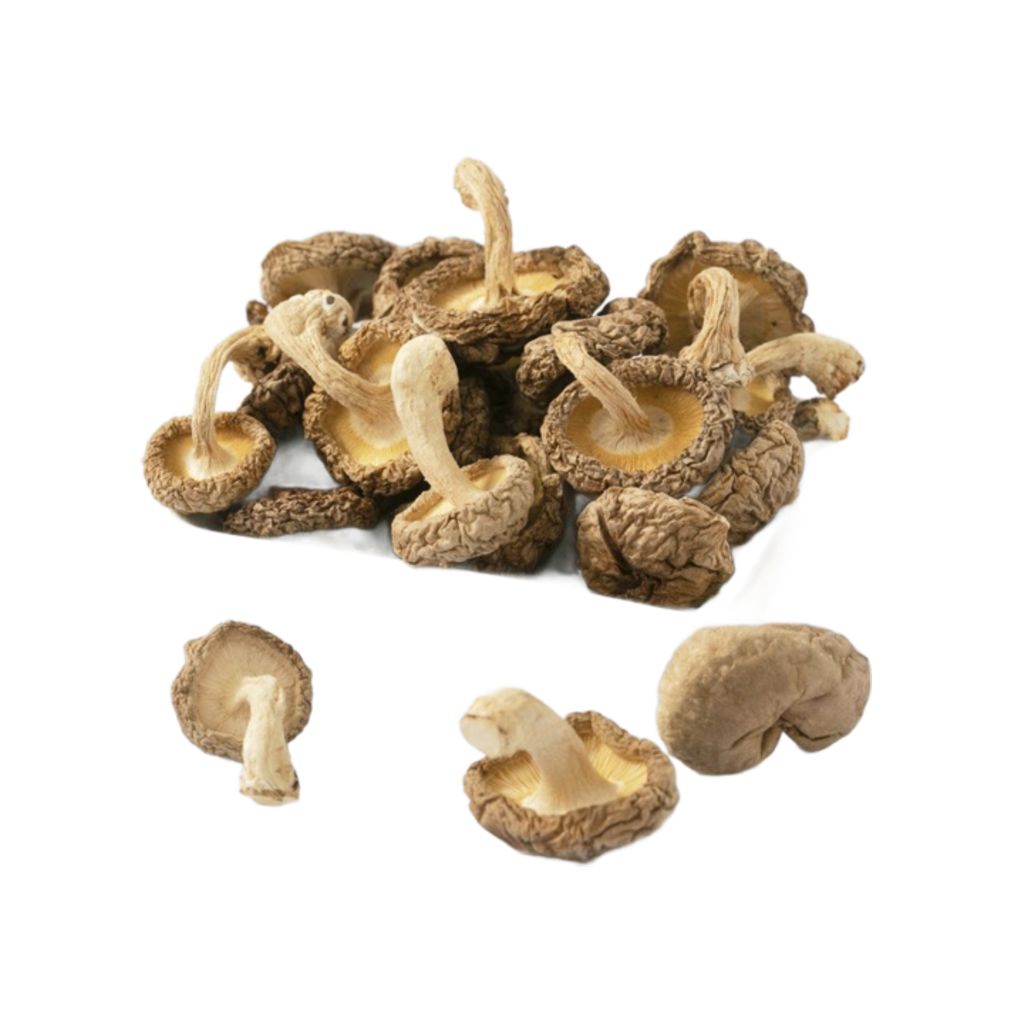 Unikke Jumbo Shiitake 1kg Naturligt dyrkede savtakkede champignoner