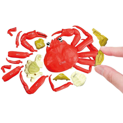 Krabbens anatomi - 3D puslespil