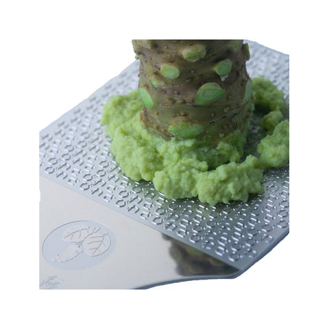 Wasabi grater