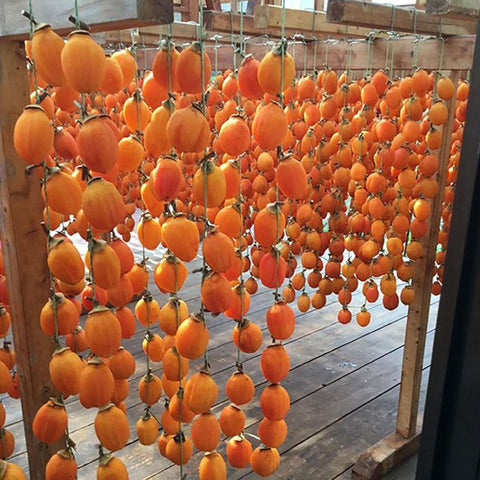 Japansk delikatesse til melon elskeren - tørrede Saijo frugt