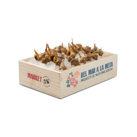 Seafood Methacrylate Box 2 kg