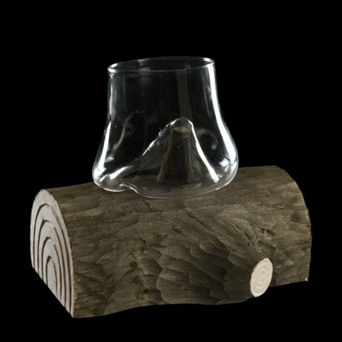 Wood trunk glass