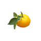Yuzu frugt - lækker japansk citrus frugt med fantastisk smag