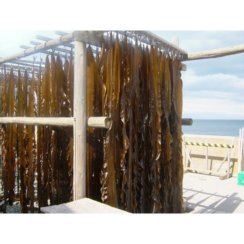 Kombu tang fra Japan