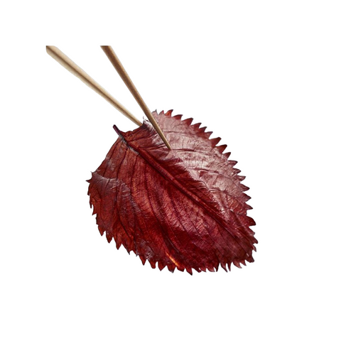 Shiso blad 