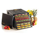 Dehydrator Excalibur 4900