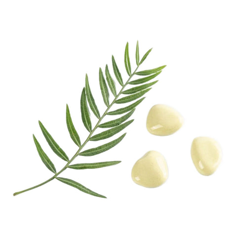 Silikoneform udformet som sten