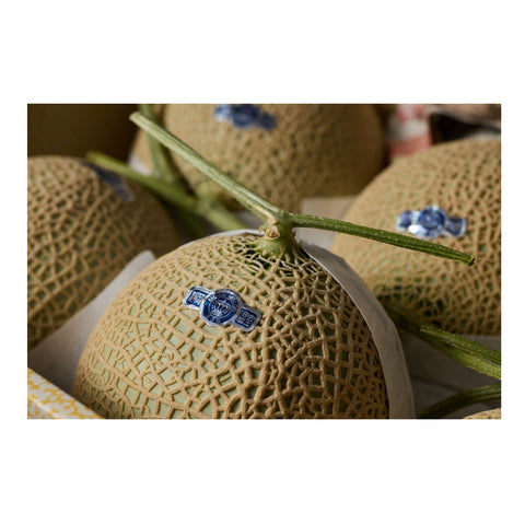 Japanske musk melon 