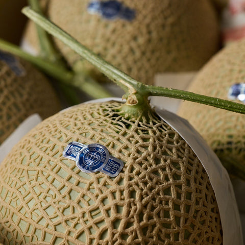 Musk melon 