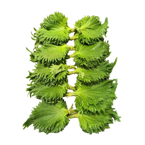 Friske shiso blade direkte fra Japan