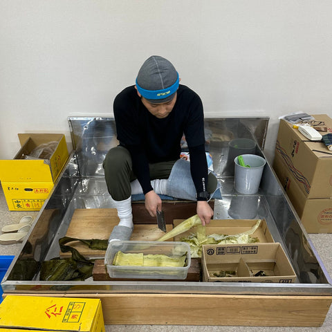 Japansk mand der ordner hvid kombu Shiroita kombu 