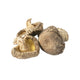 Jumbo shiitake-svampe fra Japan – store, smukke tørrede shiitake med ekstra fyldige hatte, intens umamismag og kødfuld konsistens. Dyrket naturligt på egetræ og perfekte til ramen, supper, wokretter, saucer og autentiske japanske specialiteter.