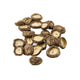 Shiitake-svampe uden stilk, diameter 1 -3 cm fra Japan - 100 gram