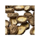 Shiitake-svampe uden stilk fra Japan 