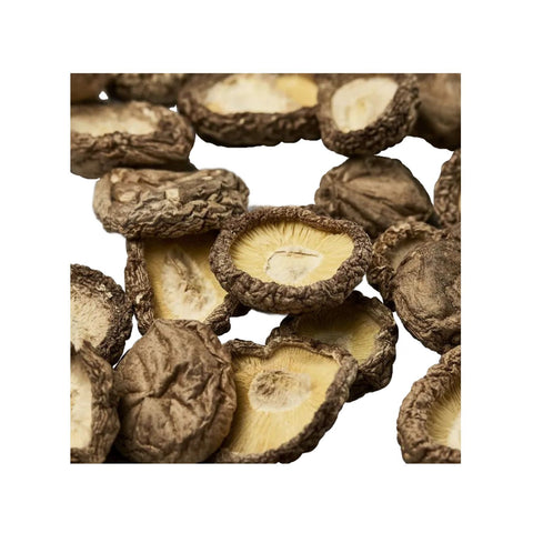 Shiitake-svampe uden stilk fra Japan 