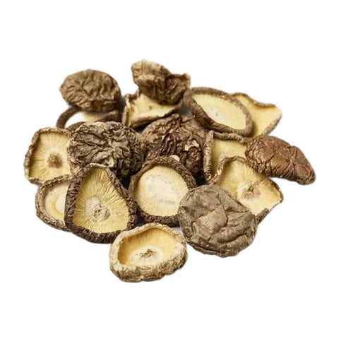 Shiitake-svampe uden stilk