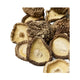 Shiitake-svampe fra Japan