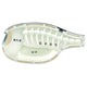 Kuglefisk (fugu) anatomi - 3D puslespil