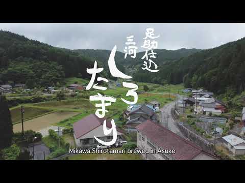 Video fra Shirotamari 