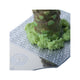 Wasabi grater 