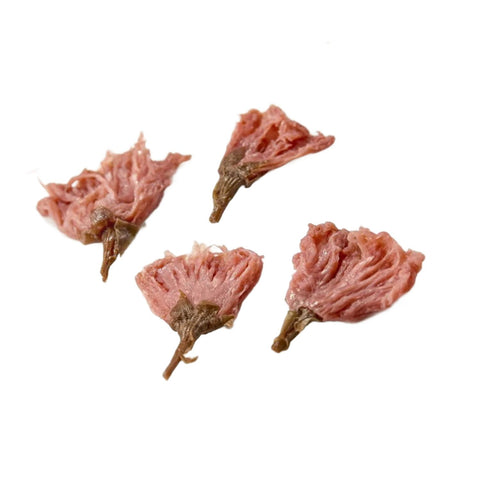 Saltede sakura blomster fra Japan 