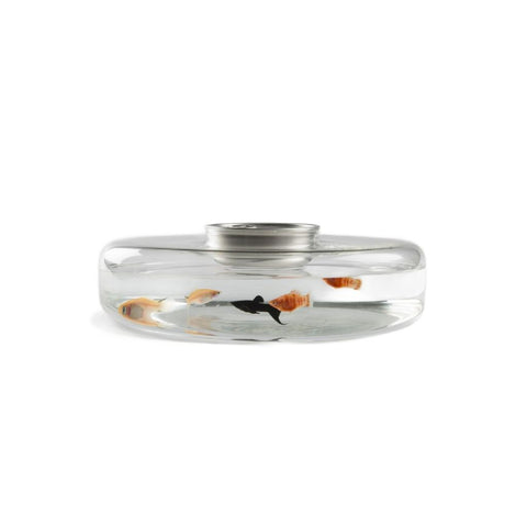 Advance - tallerken servering som akvarium